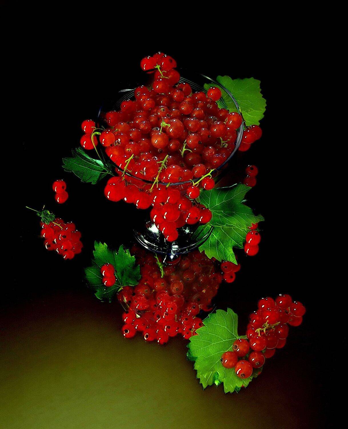 смородина ягоды витамины натюрморт, Сергей Фунтовой