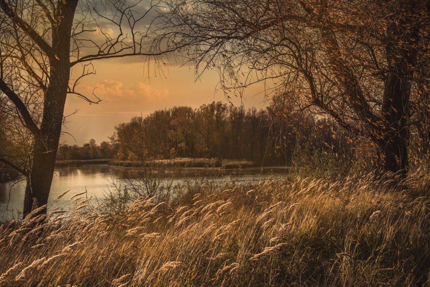 закат, озеро, осень, Игорь Токарев