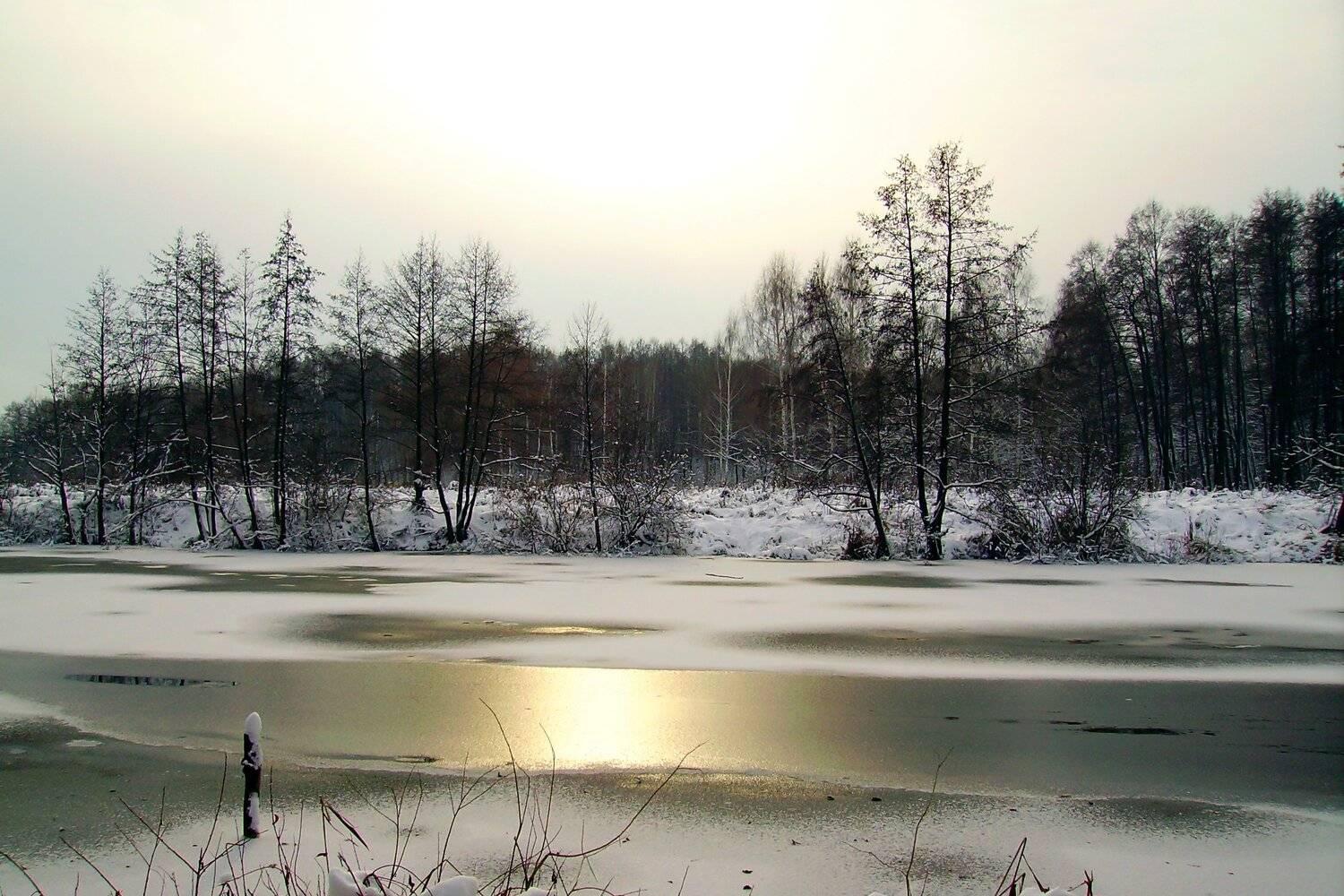 , Руслан Востриков