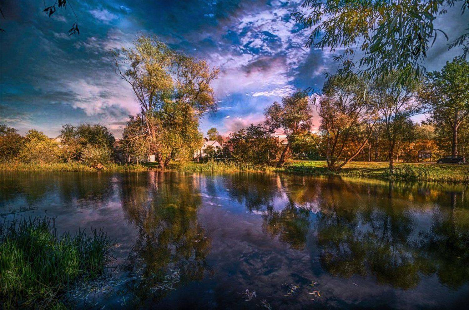 вечер, Rimantas Petrikas