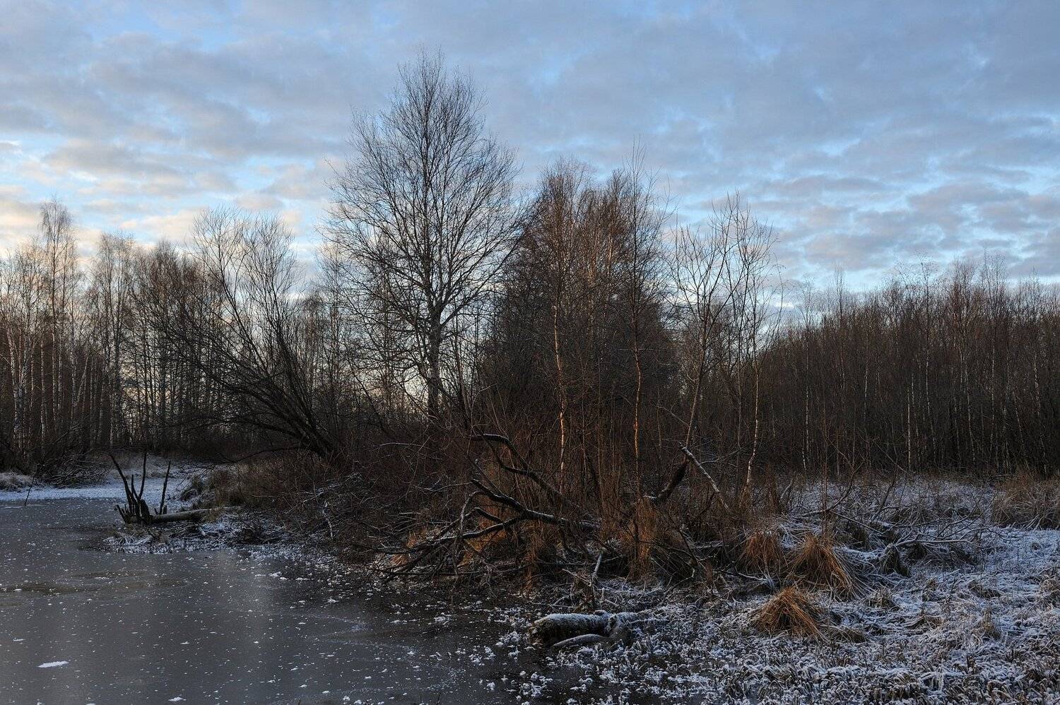 , Григорий Пиль