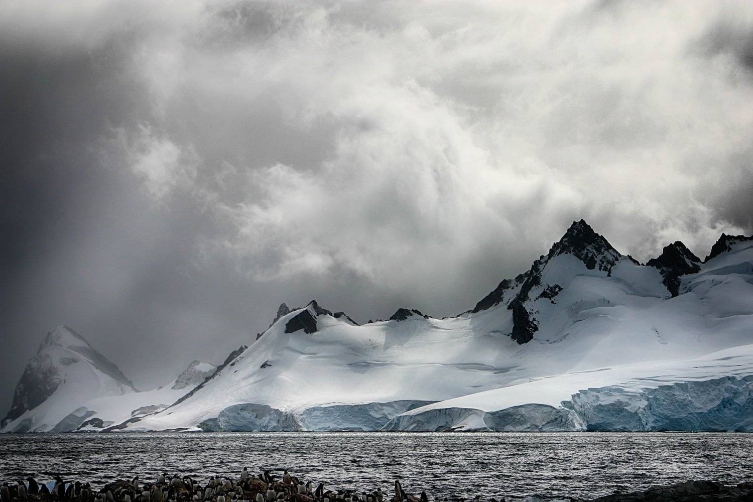 , Николай Шелепов