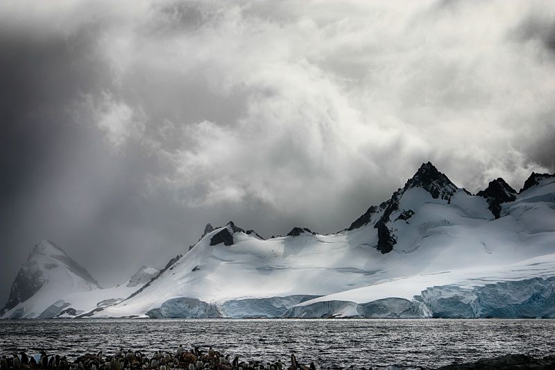 Антарктида 33 фото превью