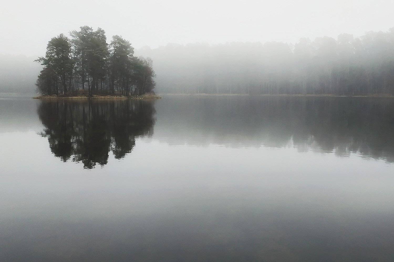 , Федотов Антон