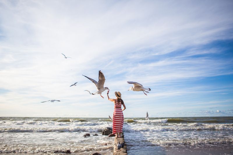Случайная балтийская история фото превью