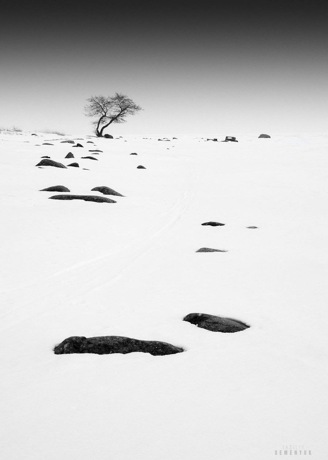 зима, балтика, ч/бб минимализм, снег, камни, дерево, landscape, winter, b/w, baltic sea, lonely tree., Семенюк Василий
