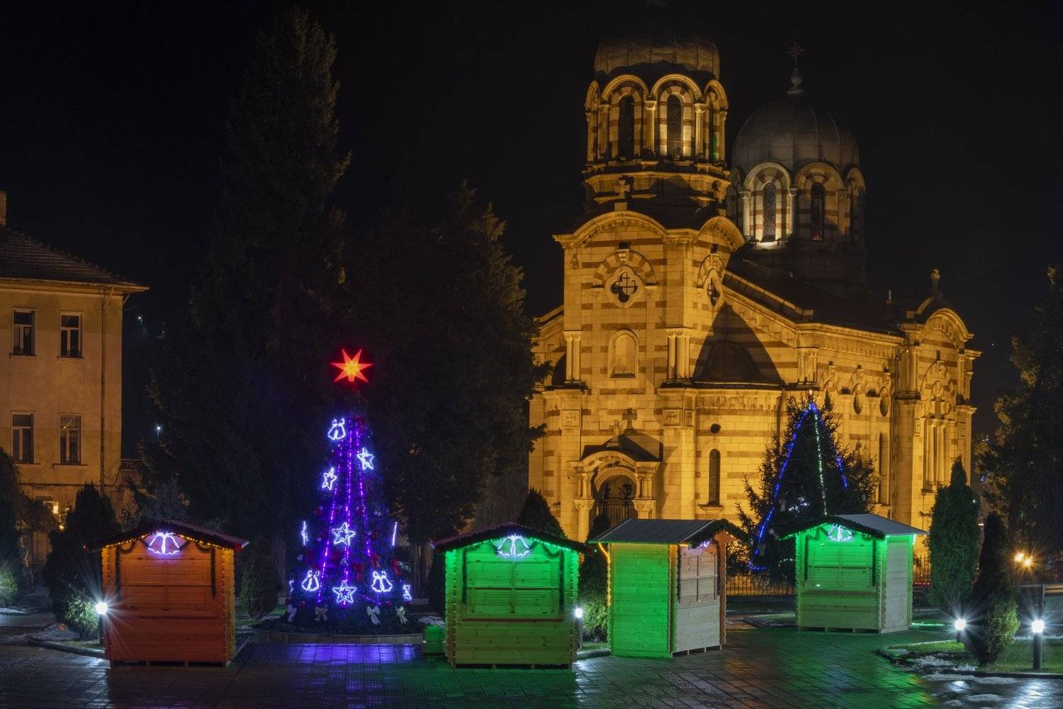 ceclii, nikon d3400, Tsvetan Ganev