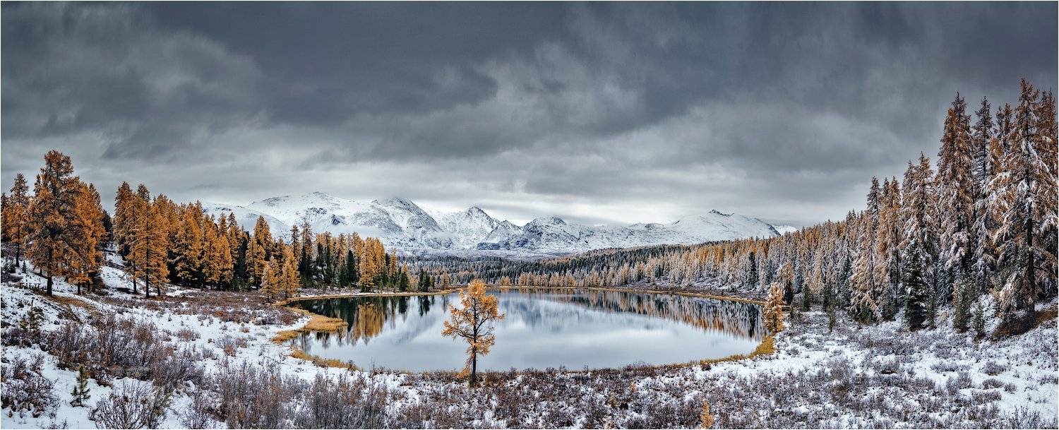 алтай,озеро,осень,золотая,горы,лиственница,вода, Николай Бузмаков