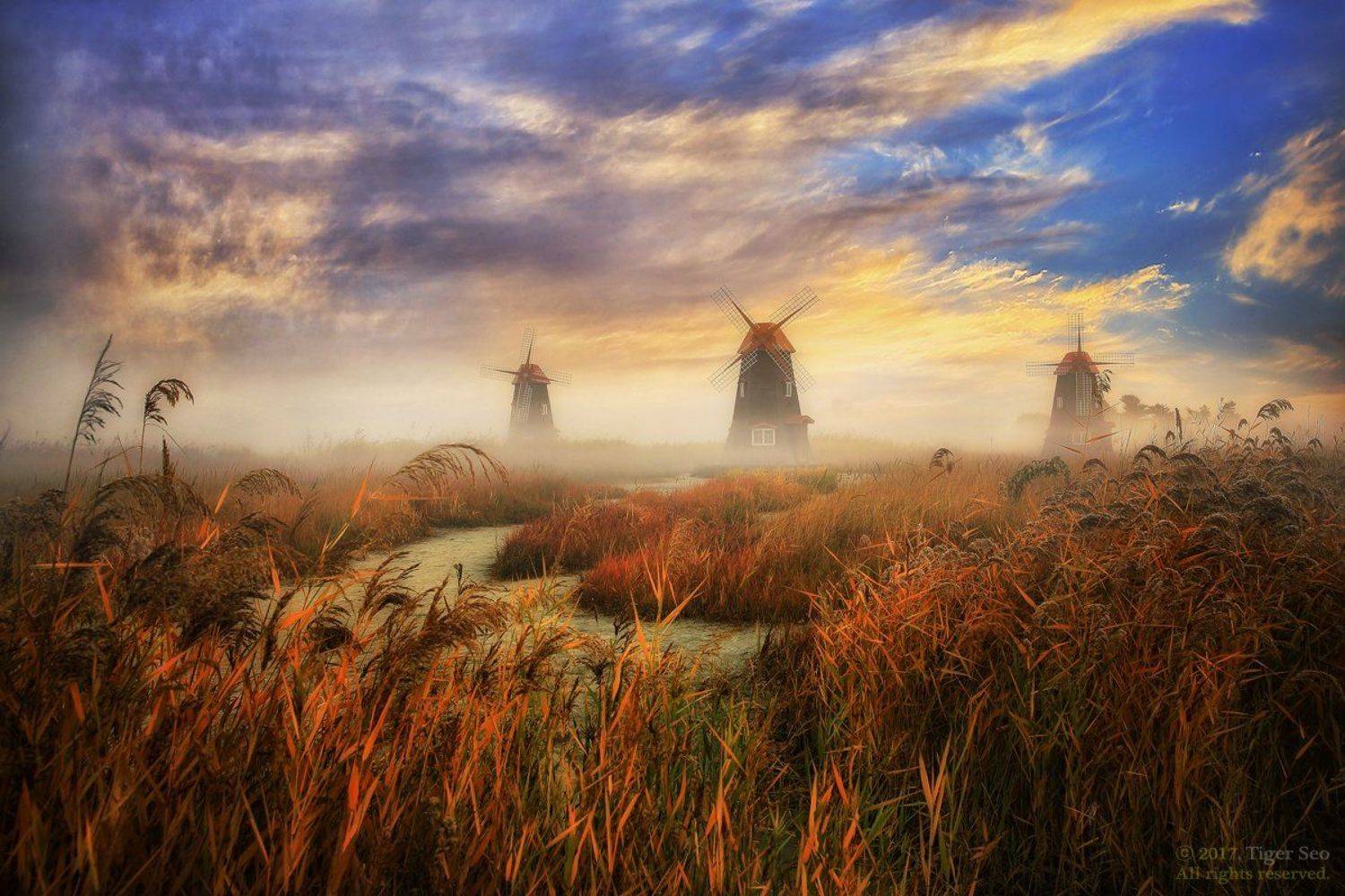 sky windmill autumn forest saltpond fog morning landscape travel cloud Incheon Korea , Seo Tiger