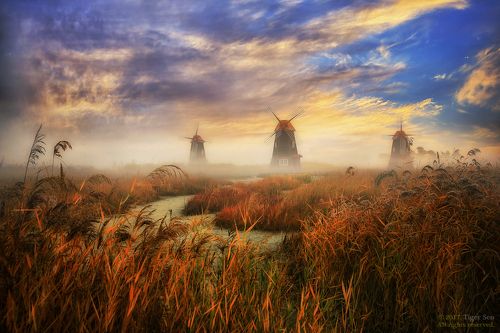 wonderful morning