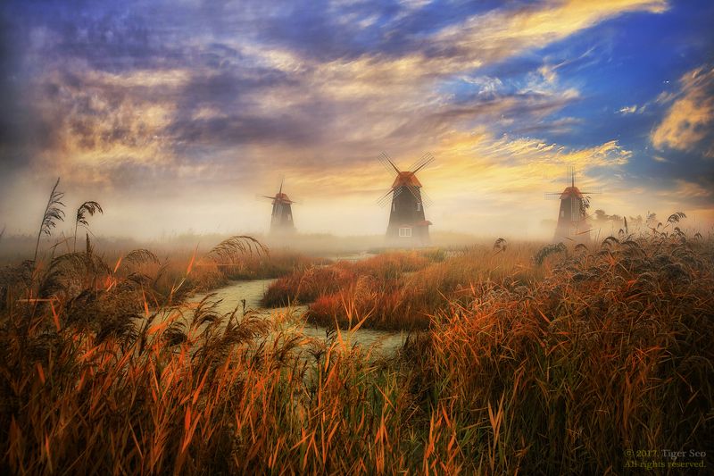 sky windmill autumn forest saltpond fog morning landscape travel cloud Incheon Korea  wonderful morning фото превью