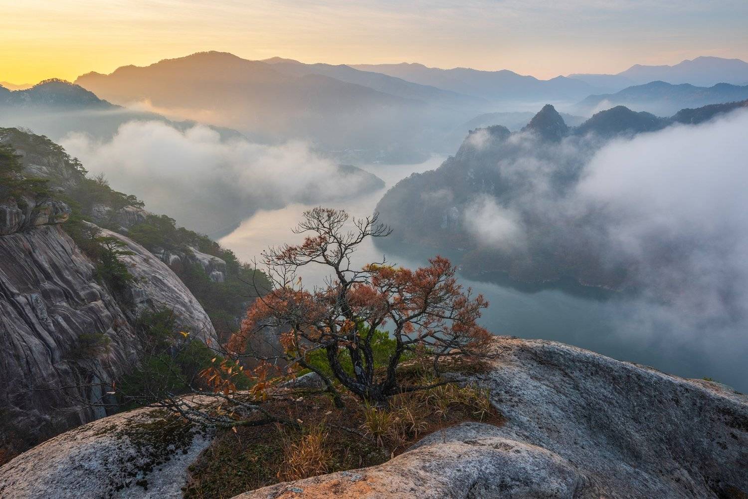 pine, mountains, rocks, clouds, Jaeyoun Ryu