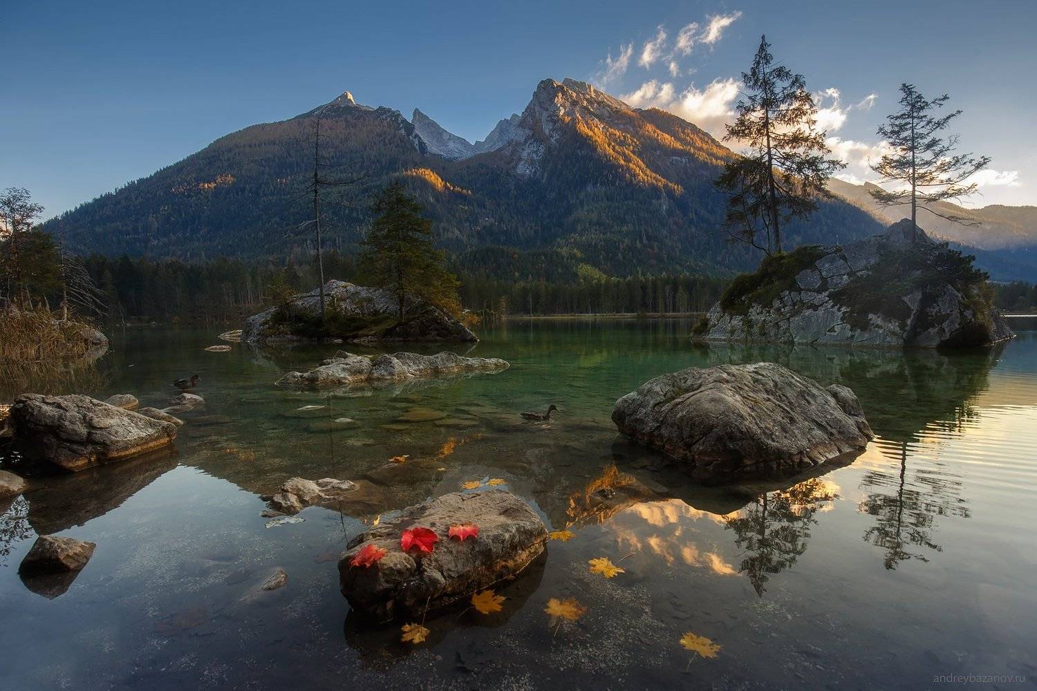 , Андрей Базанов