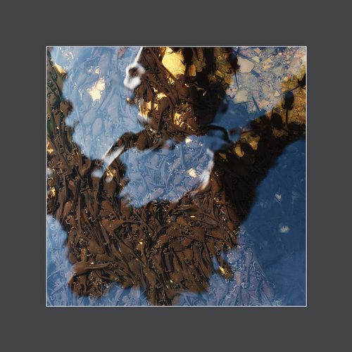 Abstract nature