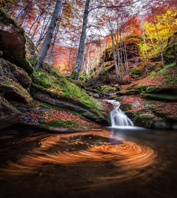 Autumn Whisper фото превью