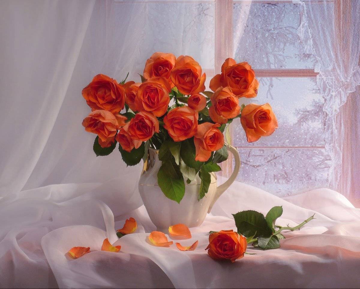 still life,натюрморт,цветы, фото натюрморт, розы, зима, декабрь, Колова Валентина
