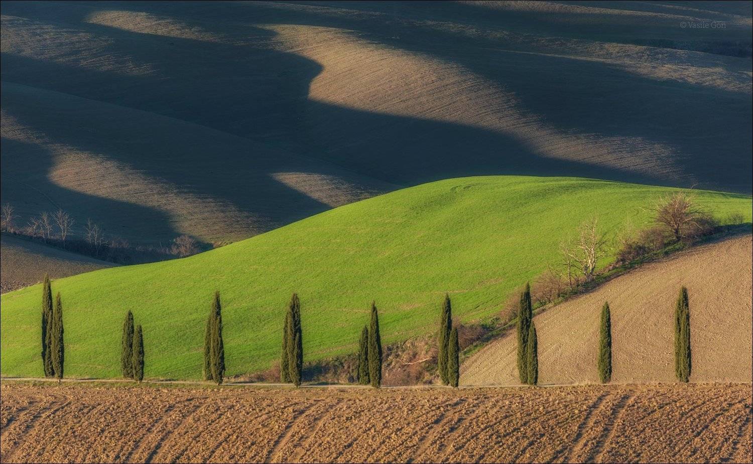 italy,асчиано,italia,свет,пейзаж,тени,италия,тоскана,кипарисы,toscana,зима,tuscany,cipressi,аsciano,crete senesi,пейзажи тосканы, Василий Гори