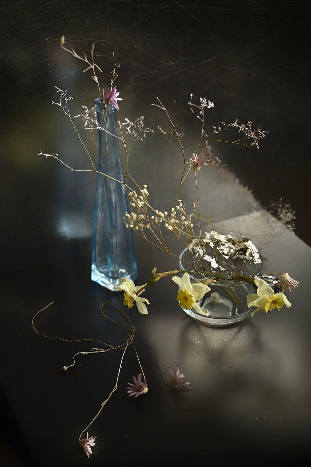 , Шипунова Ирина