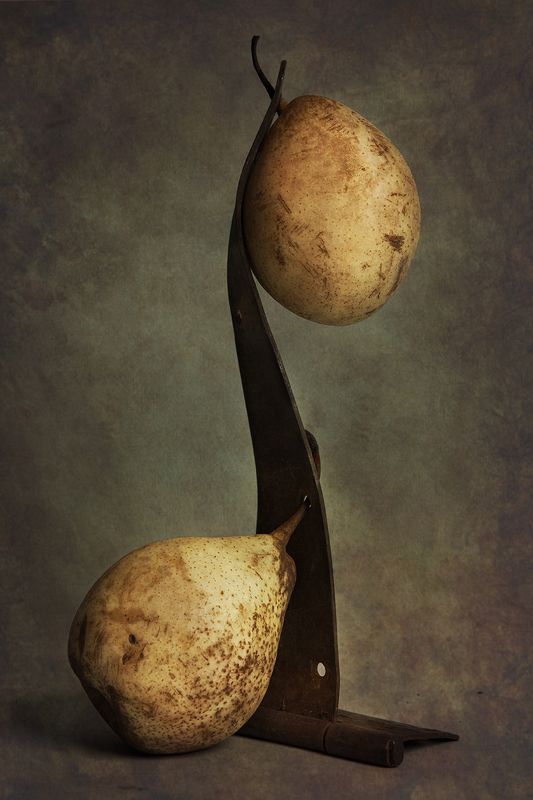 Груши фото превью