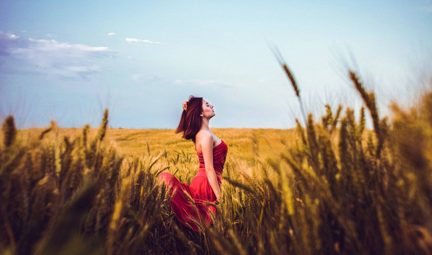 Summertime Sadness. Автор: Виталий Шевченко , Виталий Шевченко