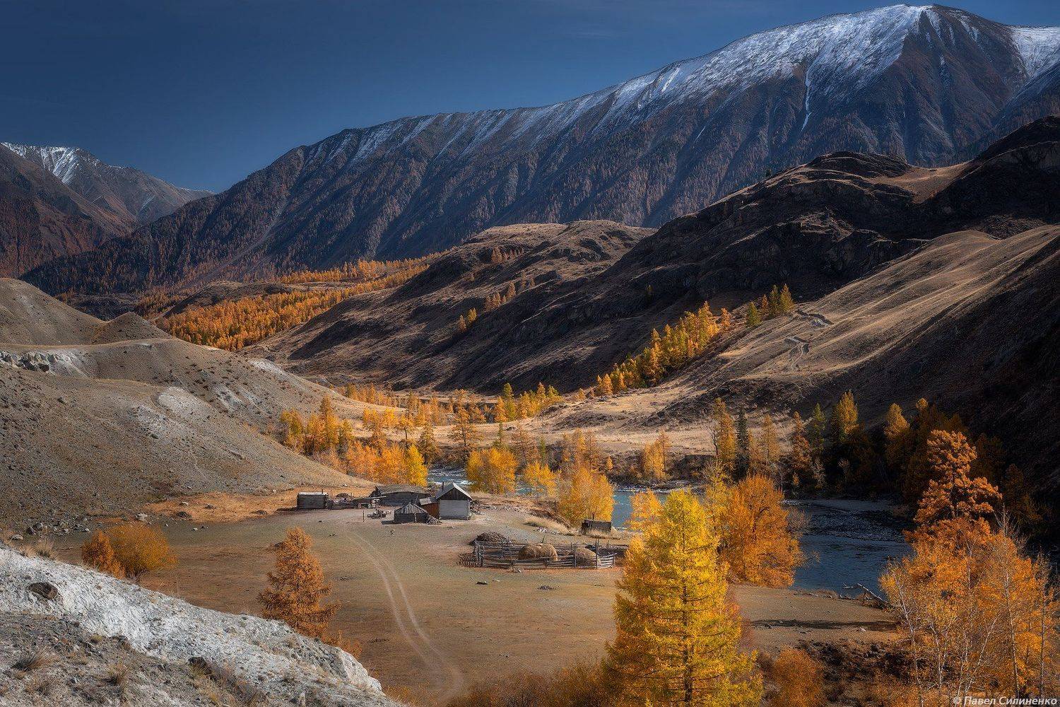 пейзаж, осень, горы, аргут, река, алтай, желтый, свет, лиственница, Павел Силиненко