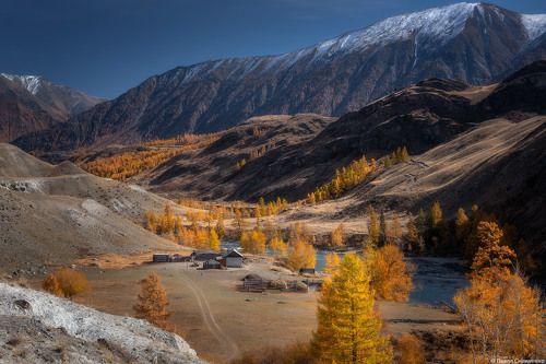 На берегу Аргута