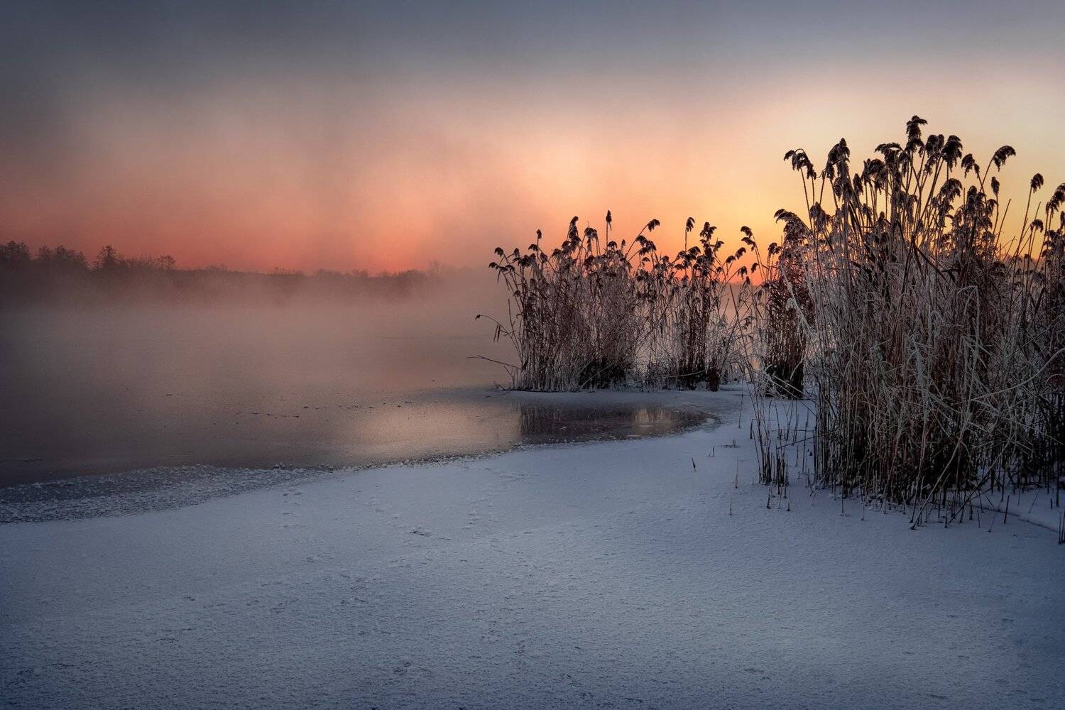 шатура, озеро, белое, пейзаж, лед, туман, зима, трава, рассвет, зарево, Андрей Чиж