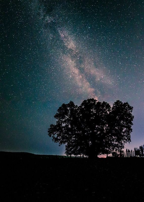 крым, горы, crimea, звезды, ночь, лето, млечныйпуть Суворовский дуб фото превью
