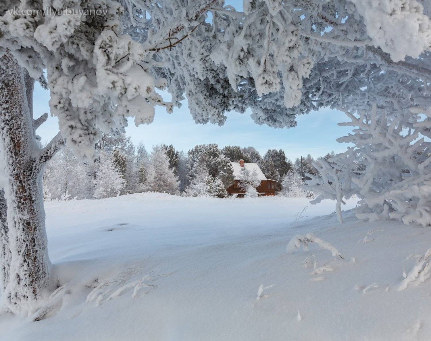 , Илья Буянов