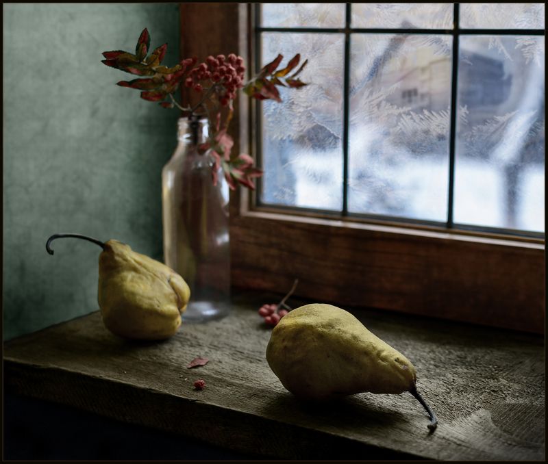 груши, натюрморт *** фото превью
