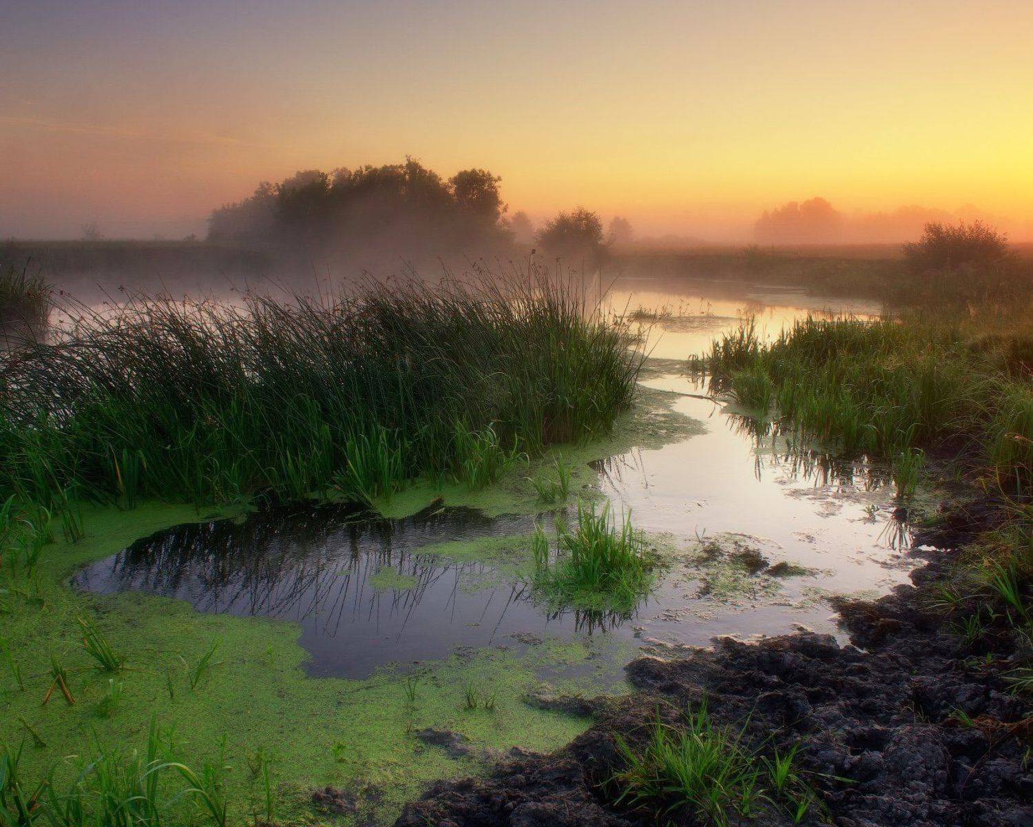 Волчья, туман, утро, рассвет, река, украина, харьовская область, fog, morning, dawn, river, ukraine, Виктор Тулбанов