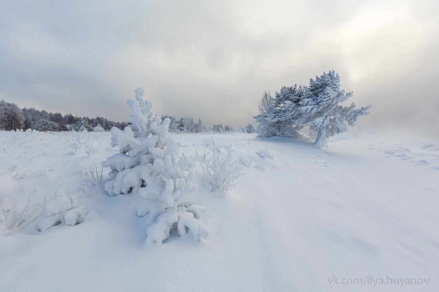 , Илья Буянов