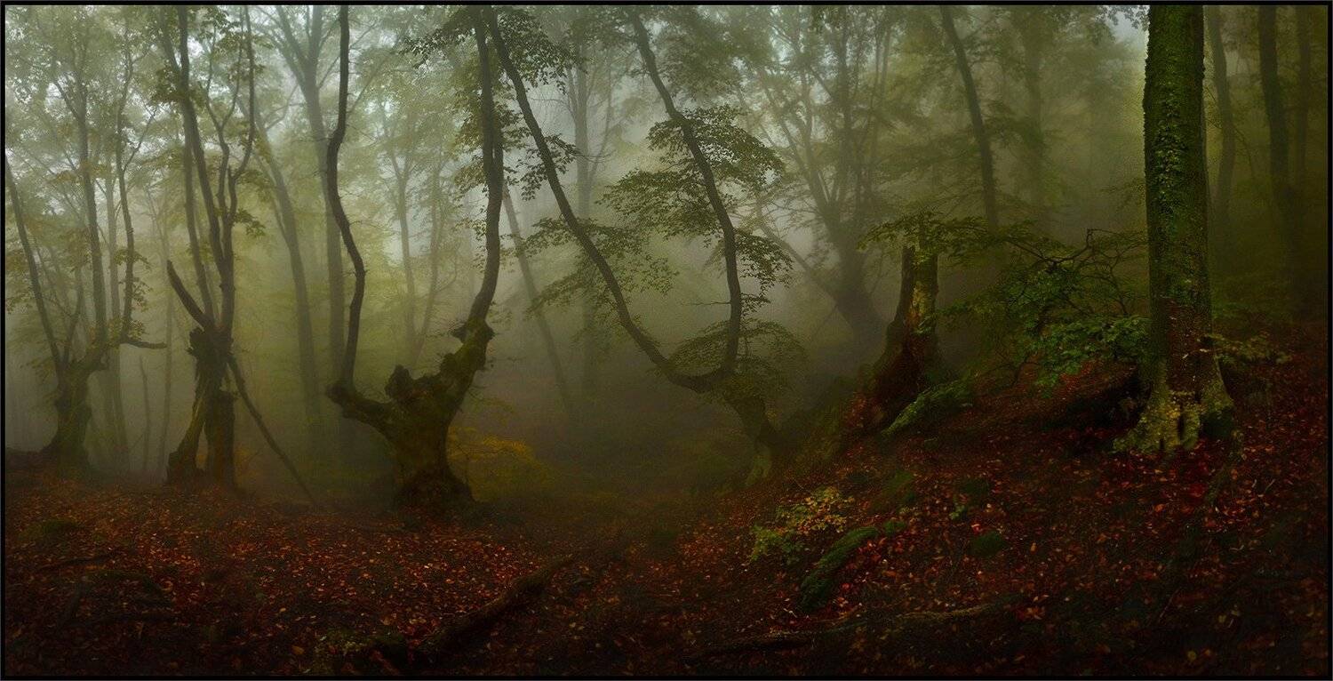 , Владимир Метцгер