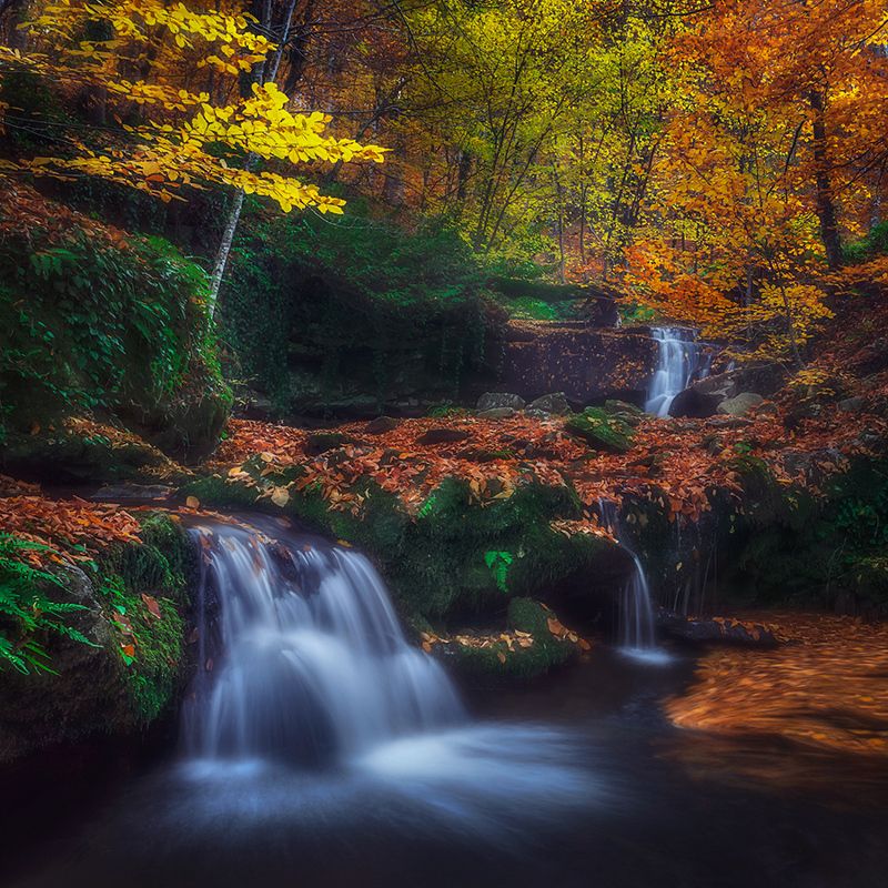 Autumn фото превью