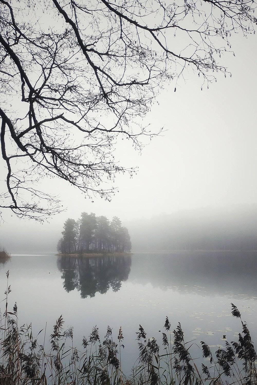 , Федотов Антон