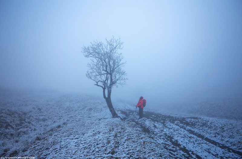 Безмолвный диалог фото превью