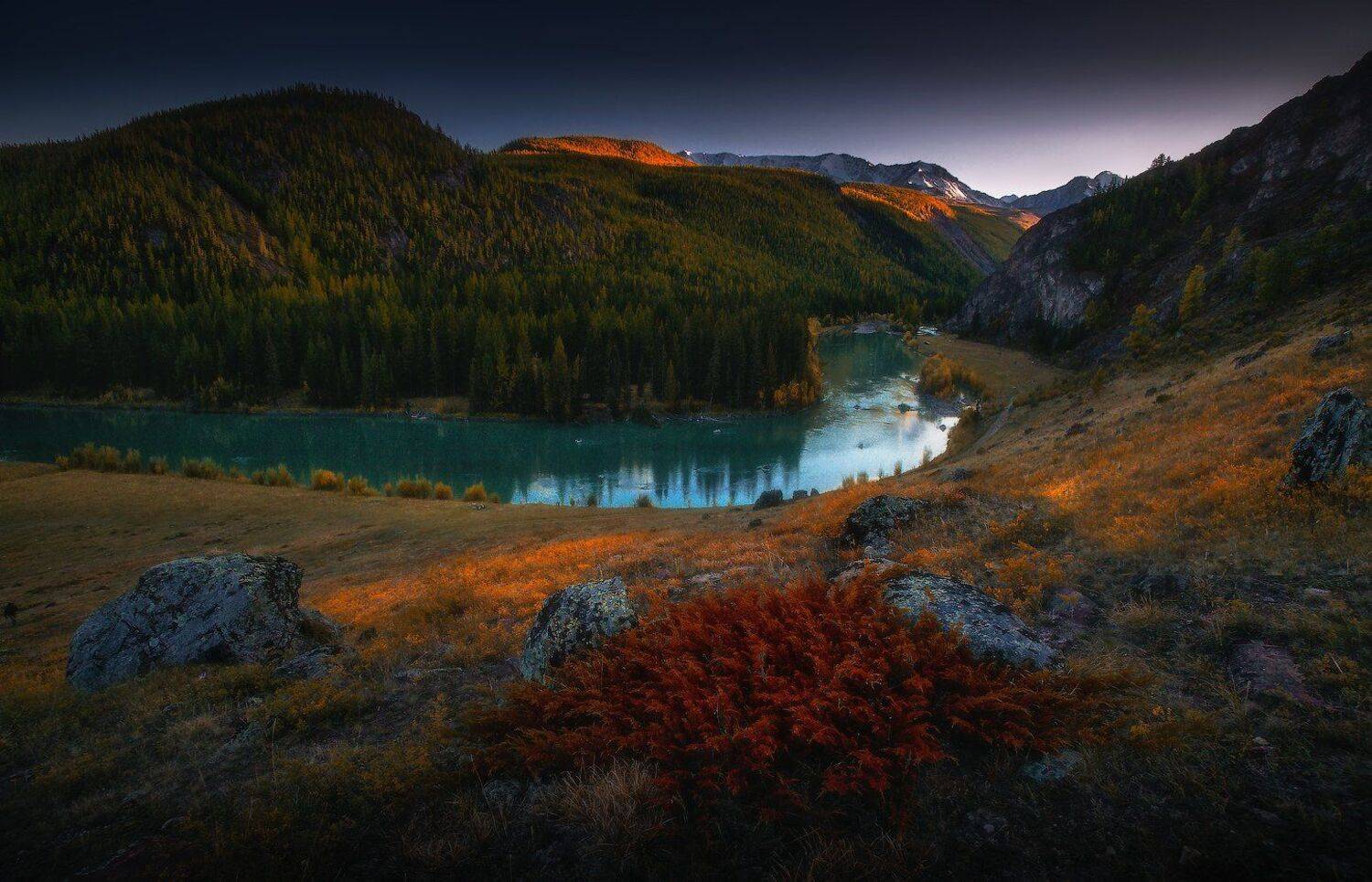 алтай, горы, Владимир Ляпин