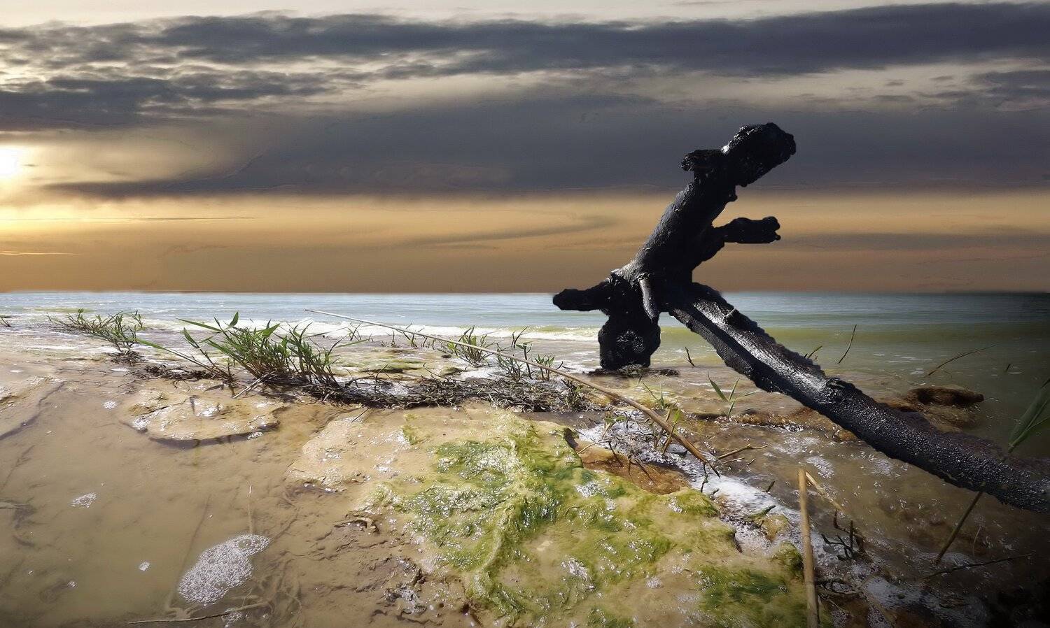 одесса, Сергей Кошелев