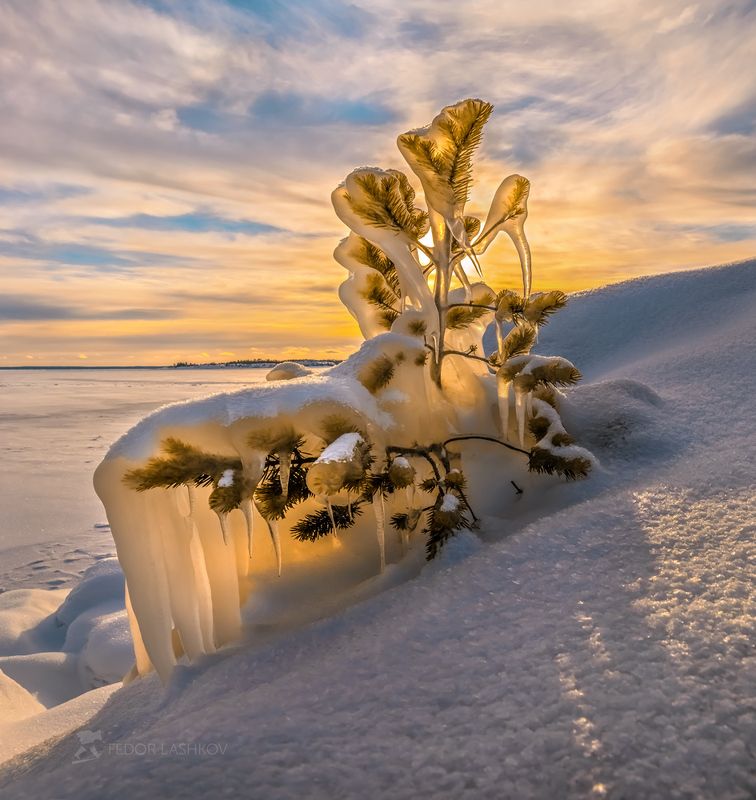 К Новому году готова! фото превью