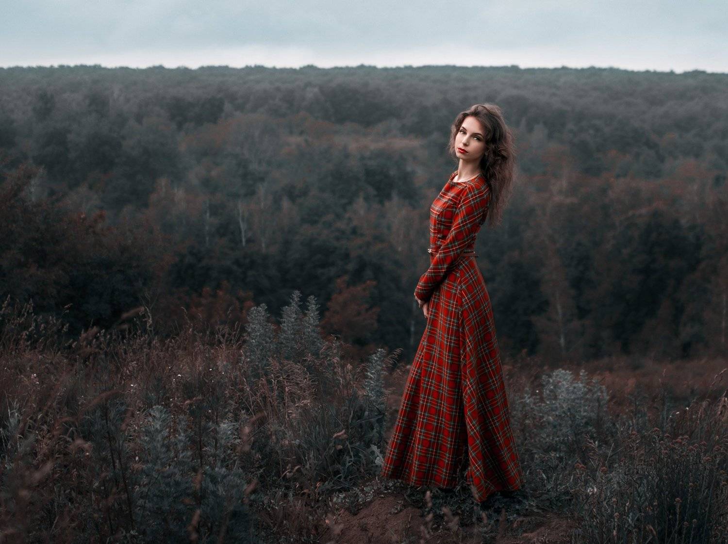 , Альберт Лесной