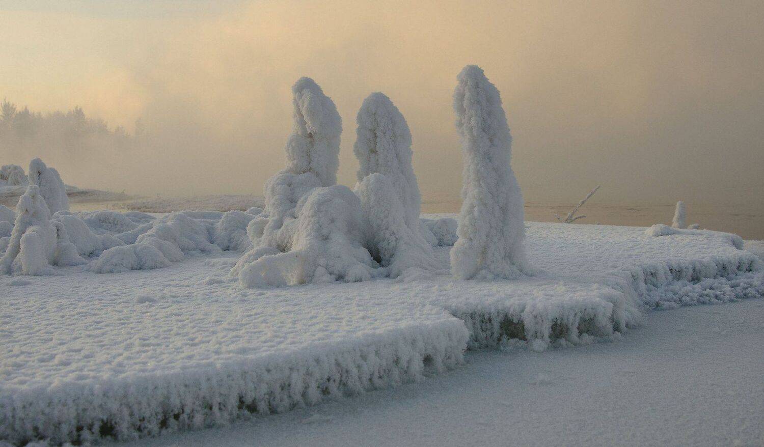 , Марина Фомина