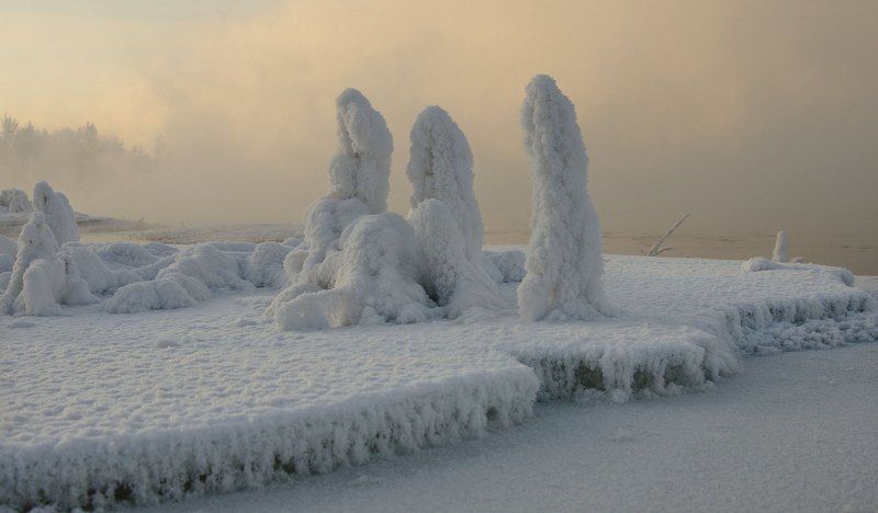 Зимние суслики. фото превью