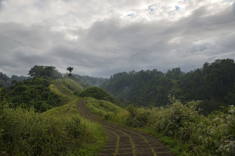 бали, индонезия, пейзаж, экзотика Тропа Художников фото превью