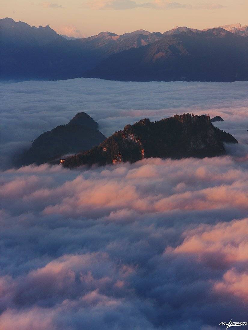 swiss, Матвеев Николай