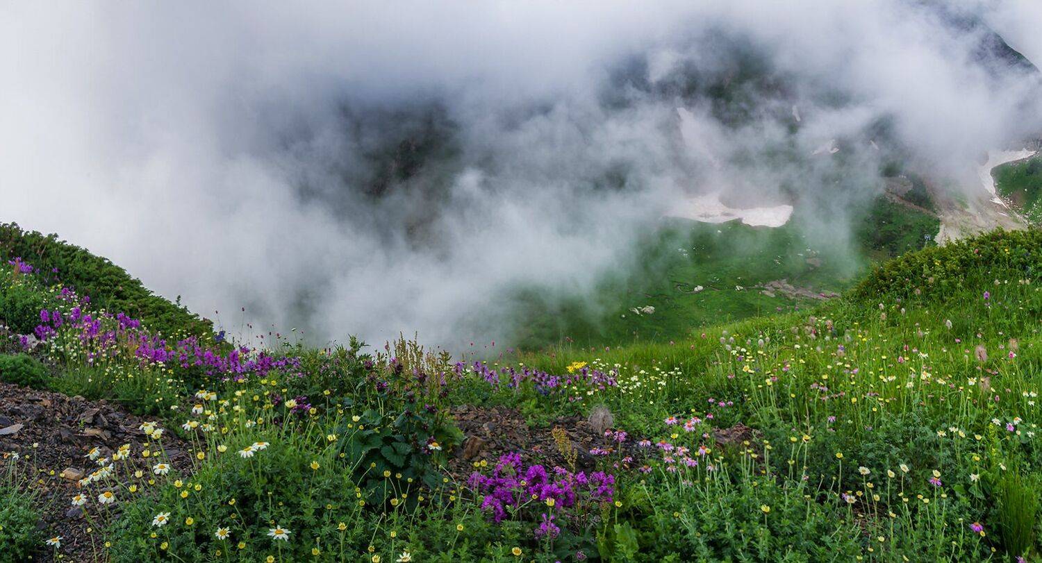 , Игорь Мелекесцев