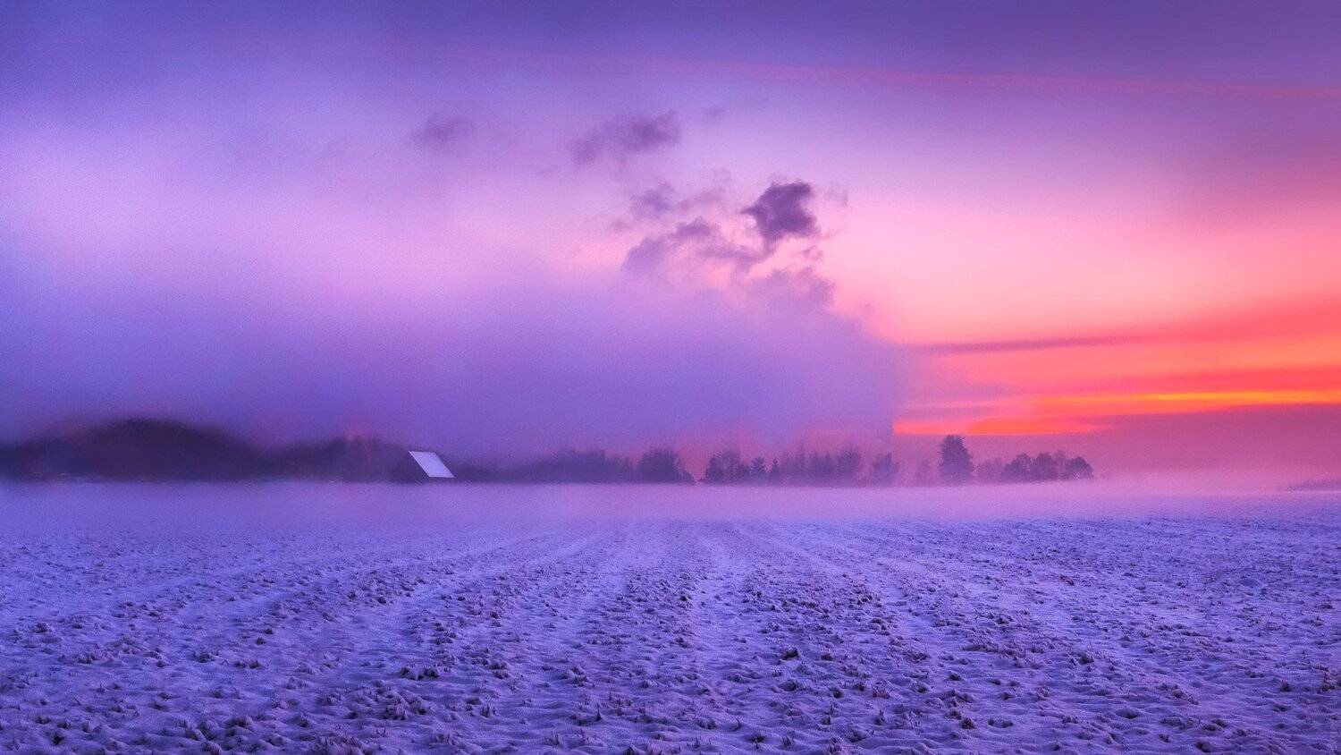 , Евгений Луцко