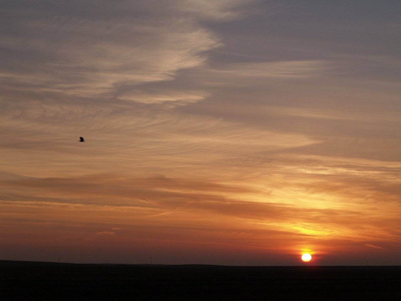 рассвет,лето,пейзаж, Marat Magov