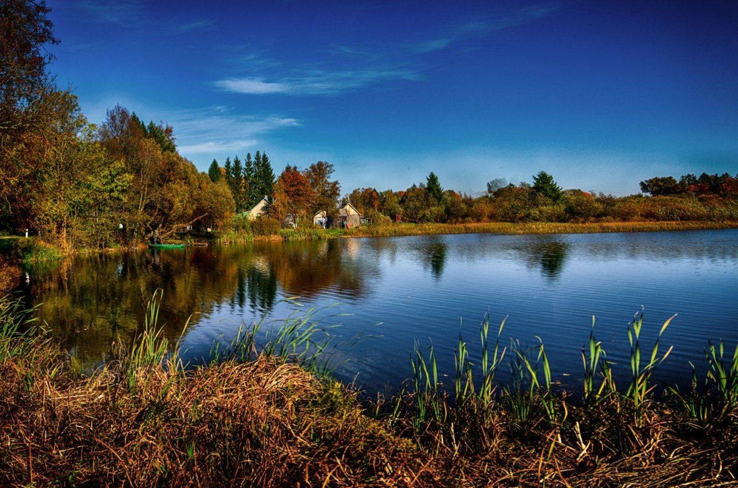 отражения, вода, природа, Rimantas Petrikas