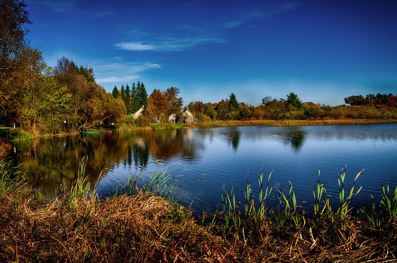 отражения, вода, природа Размышления в воде фото превью