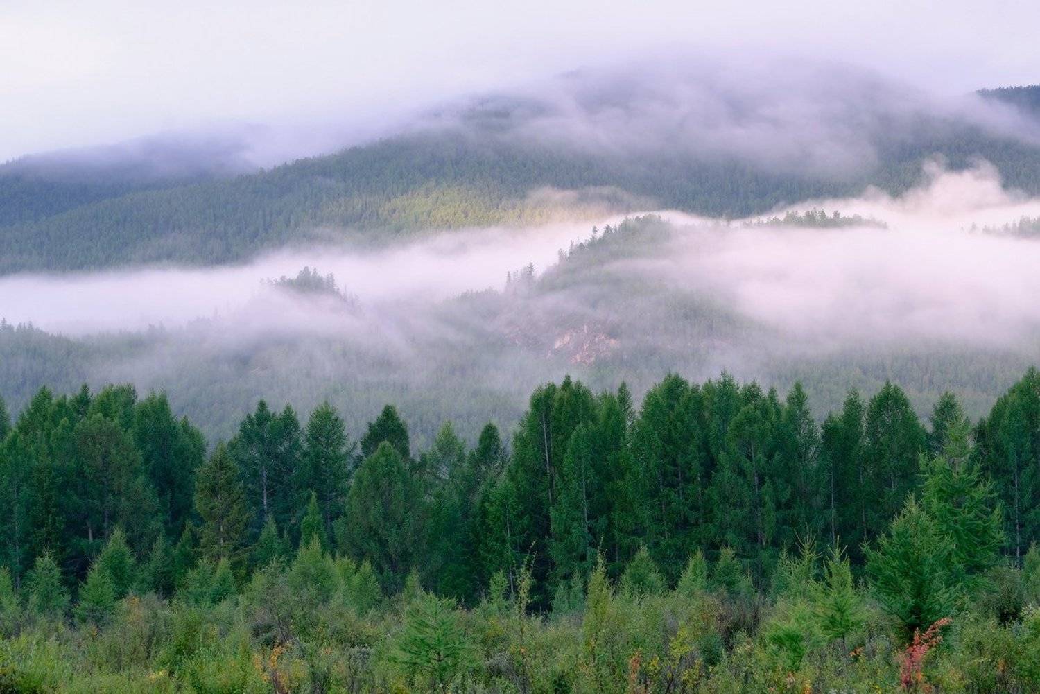 , Ольга Челдыкова